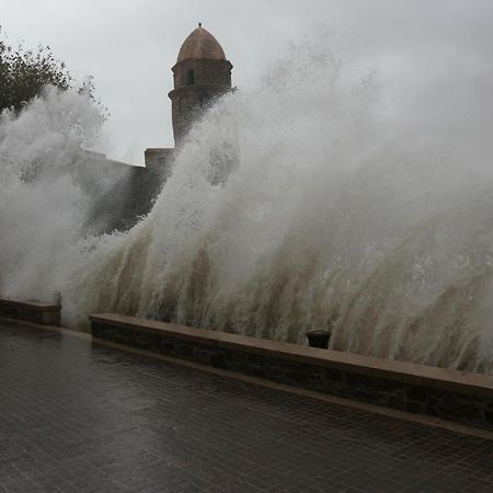 Hotel Le Saint Pierre Collioure Kültér fotó